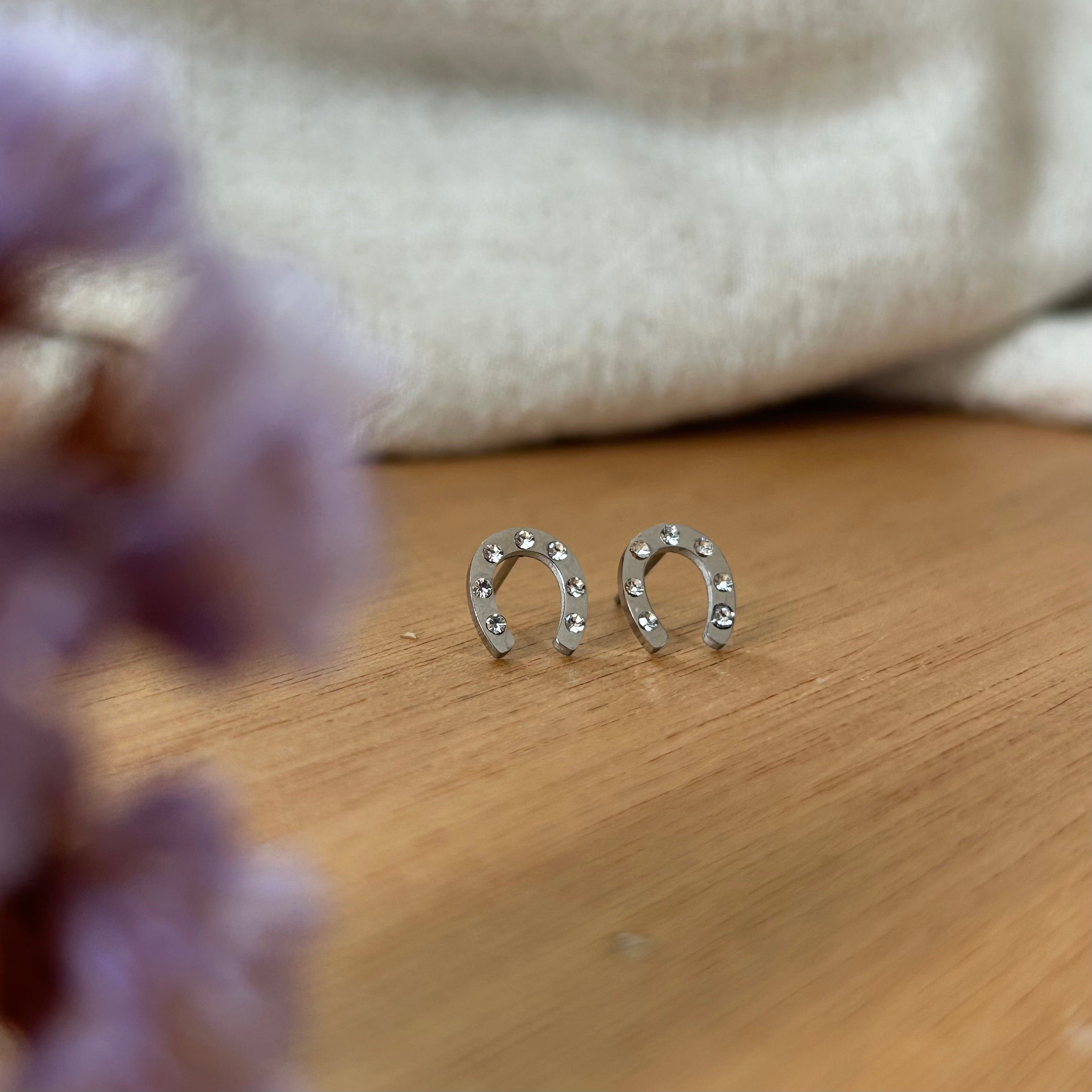 Boucles d'oreilles Popy argenté