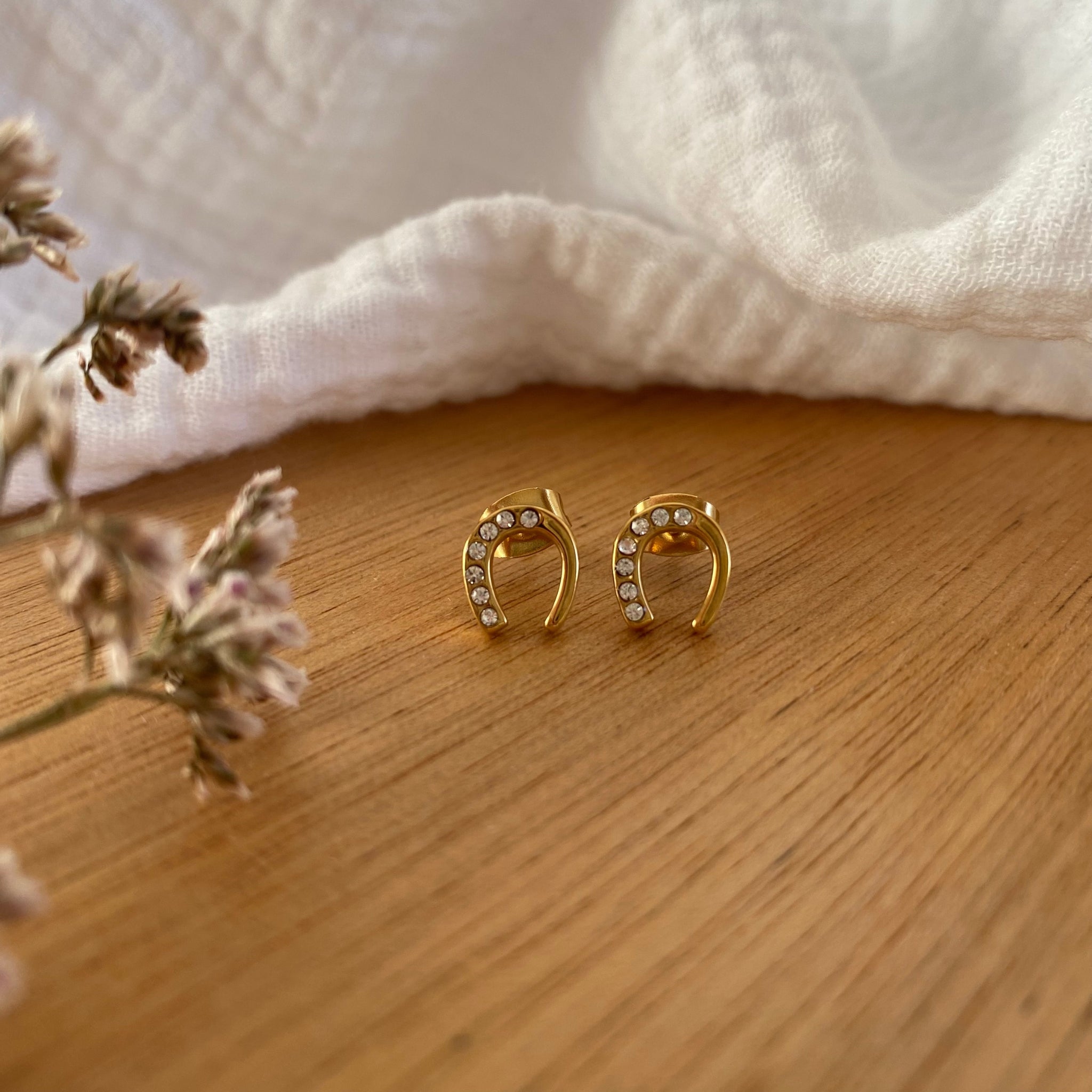 Earrings Set